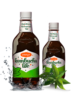 Kombucha Life cu papaya 500ml 