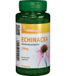 Extract de Echinacea 250 mg - 90 capsule, Vitaking