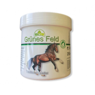 GRUNE FELD – Crema activa, antireumatica Puterea Calului, 250ml